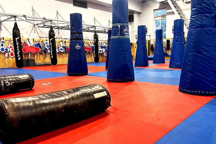 Le gymnase des Tactiques de défense policières avec des tapis