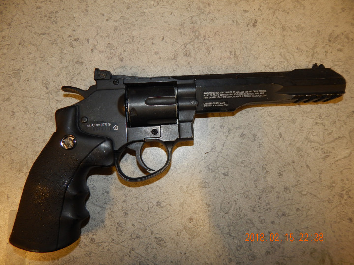 Seized pellet gun