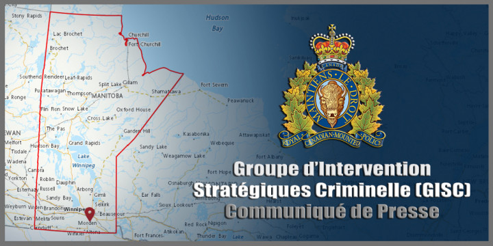 Groupe d'intervention stratégique criminelle