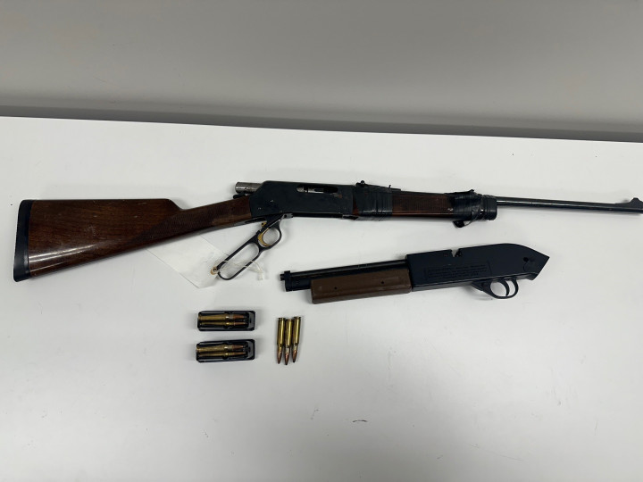 Firearms seized