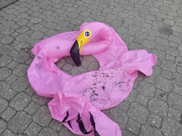 Deflated flamingo floatie